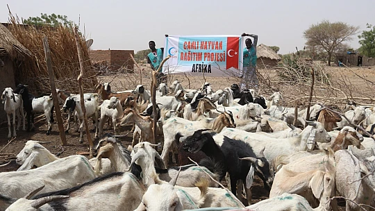 Cansuyu Derneği'nden Ramazan'da Üç Kıtada Yardım Seferberliği