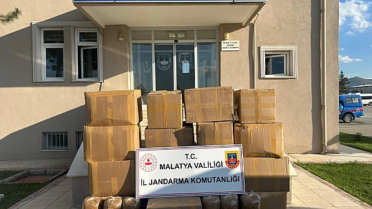 İzinsiz Kazıya Operasyon: Kazı Malzemeleri ve Dedektör Ele Geçirildi