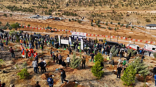 Deprem Şehitleri İçin 1246 Fidan Dikildi...