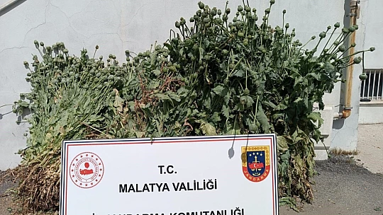 Malatya'da Uyuşturucuya Geçit Yok: 6 Operasyon, 18 Gözaltı