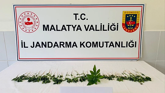 Malatya'da Uyuşturucuya Geçit Yok: 6 Operasyon, 18 Gözaltı