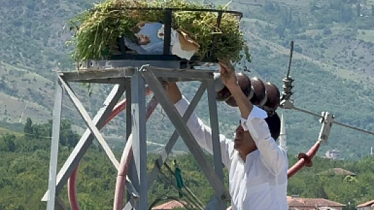 Doğa İçin Güzel Haber: 'Kale Belediyesi Leylek Yuvalarını Yeniledi'