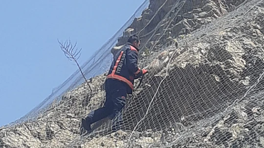 Pütürge'de Tellere Sıkışan Dağ Keçileri Kurtarıldı