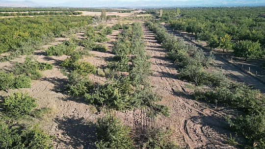 Yazıhan'da 153 Dönümlük Yeni Mezarlık Alanı Açılıyor!