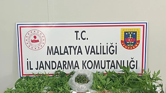Malatya'da Zehir Tacirlerine Geçit Yok: 3 İlçede Baskın