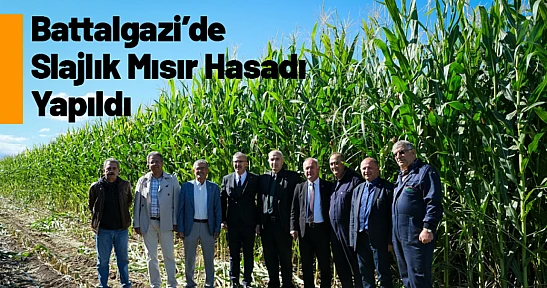 Battalgazi'de Slajlık Mısır Hasadı Yapıldı