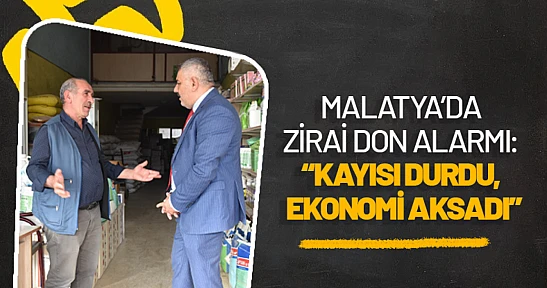 Malatya'da Zirai Don Alarmı: 'Kayısı Durdu, Ekonomi Aksadı'