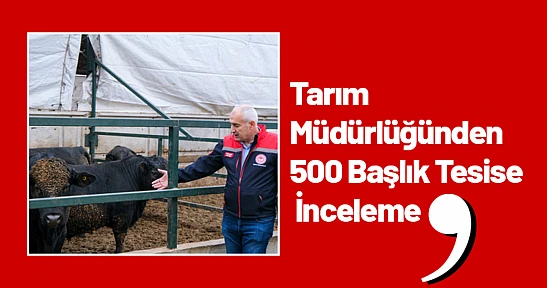 Tarım Müdürlüğünden 500 Başlık Tesise İnceleme