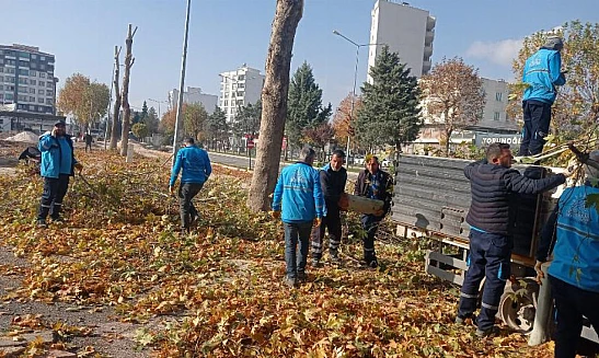 Adıyaman'da Yüksek Budama Çalışmaları Başladı