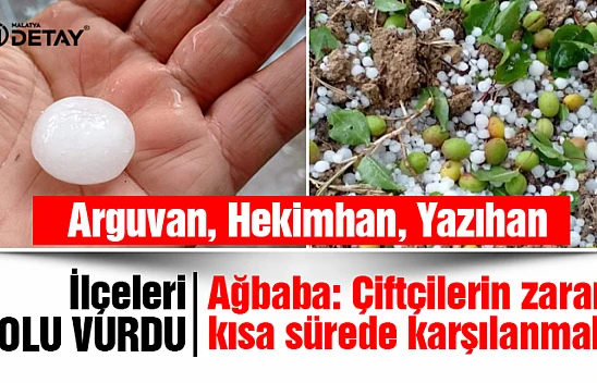 Ağbaba: Çiftçilerin zararı en kısa sürede karşılanmalıdır