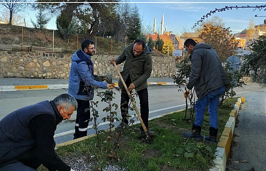 Arapgir'de Kış Hazırlıkları Devam Ediyor...