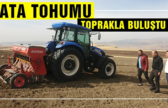 Ata Tohumu Sarı Bursa Buğdayı Toprakla Buluştu...