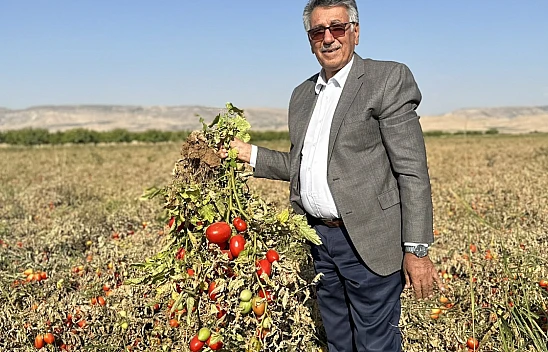 Bundan Sonra Salçalar Yazıhan'da