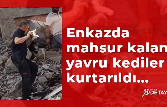 Enkazda mahsur kalan yavru kediler kurtarıldı...