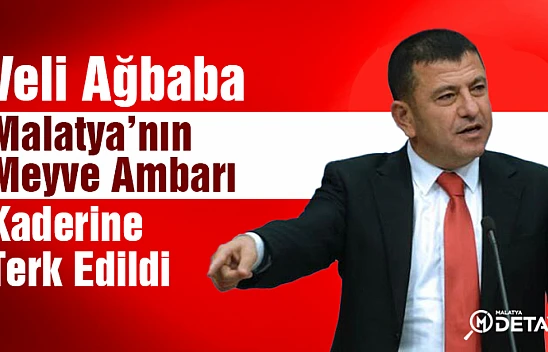 Malatya'nın Meyve Ambarı Kaderine Terk Edildi