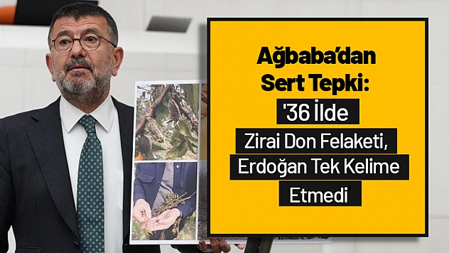 Ağbaba'dan Sert Tepki: '36 İlde Zirai Don Felaketi, Erdoğan Tek Kelime Etmedi'