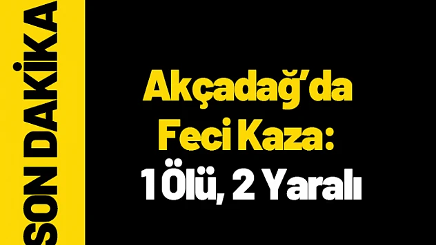 Akçadağ'da Feci Kaza: 1 Ölü, 2 Yaralı