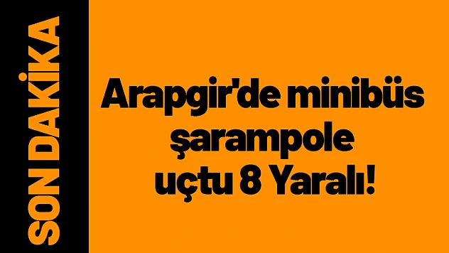 Arapgir'de minibüs şarampole uçtu 8 Yaralı!