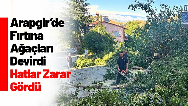 Arapgir'de Fırtına Ağaçları Devrdi, Hatlar Zarar Gördü