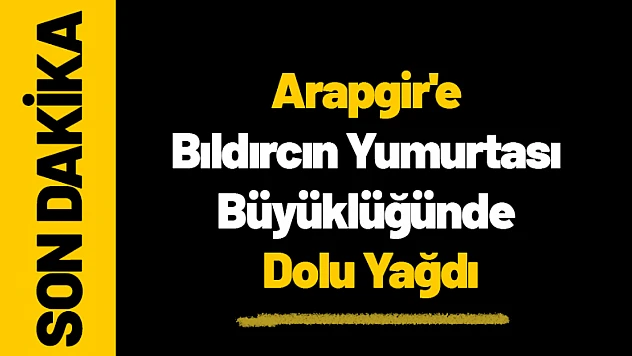 Arapgir'e Bıldırcın Yumurtası Büyüklüğünde Dolu Yağdı