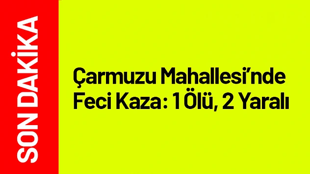 Çarmuzu Mahallesi'nde Feci Kaza: 1 Ölü, 2 Yaralı
