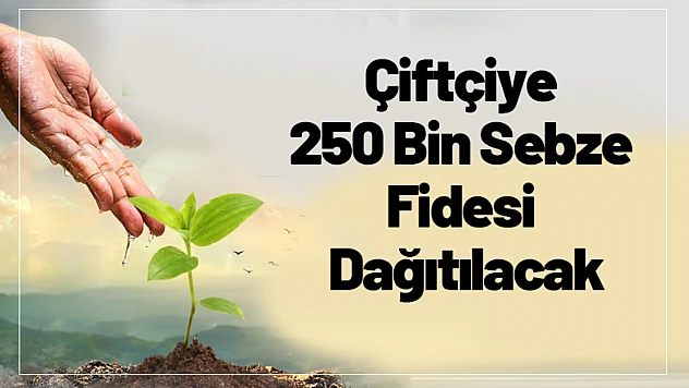 Çiftçiye 250 Bin Sebze Fidesi Dağıtılacak