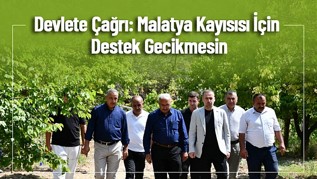 Devlete Çağrı: Malatya Kayısısı İçin Destek Gecikmesin