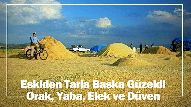 Eskiden Tarla Başka Güzeldi: Orak, Yaba, Elek ve Düven