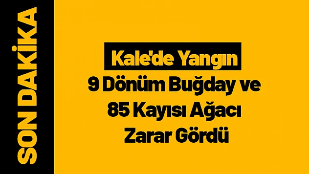 Kale'de Yangın: 9 Dönüm Buğday ve 85 Kayısı Ağacı Zarar Gördü