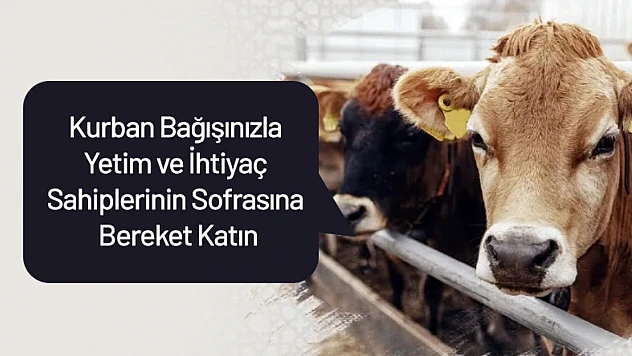 Kurban Bağışınızla Yetim ve İhtiyaç Sahiplerinin Sofrasına Bereket Katın