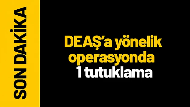 Malatya'da DEAŞ'a yönelik operasyonda 1 tutuklama