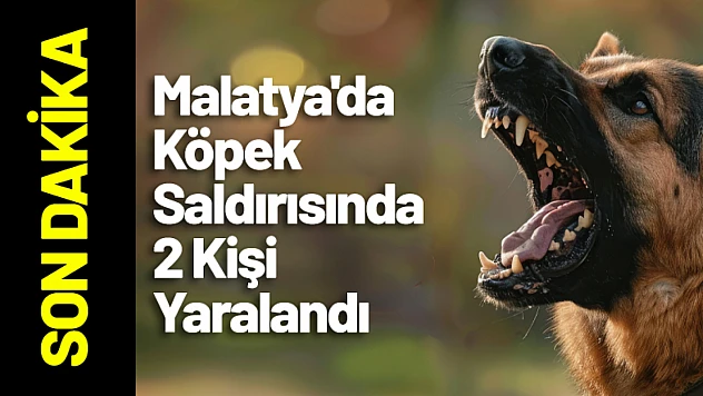 Malatya'da Köpek Saldırısında 2 Kişi Yaralandı