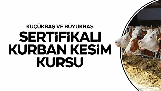 Malatya'da Kurban Kesim Kursu Başlıyor: Sertifikanı Al, Güvenli Kesim Yap