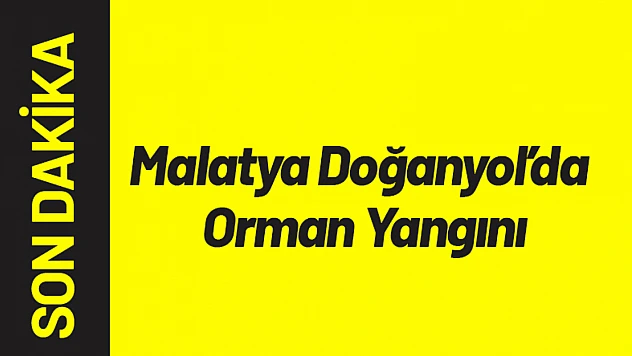 Malatya Doğanyol'da Orman Yangını