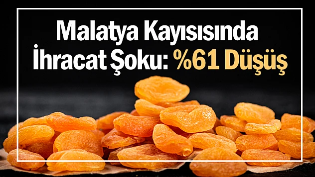 Malatya Kayısısında İhracat Şoku: Yüzde 61 Düşüş