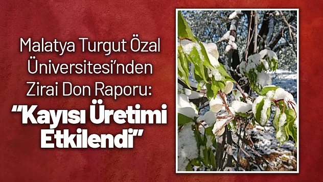 Malatya Turgut Özal Üniversitesi'nden Zirai Don Raporu: Kayısı Üretimi Etkilendi