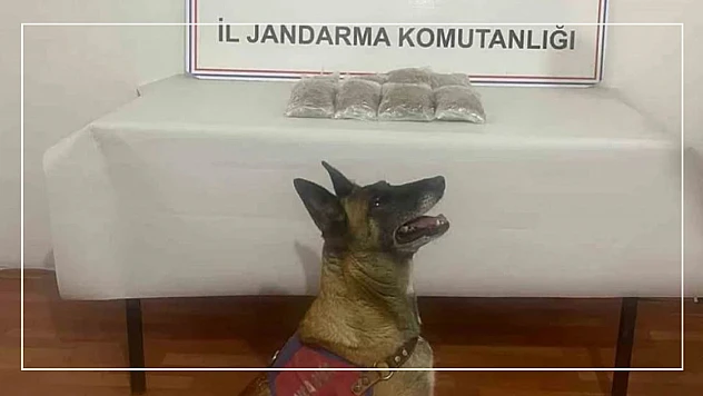 Muradiye'de Uyuşturucuya Geçit Yok