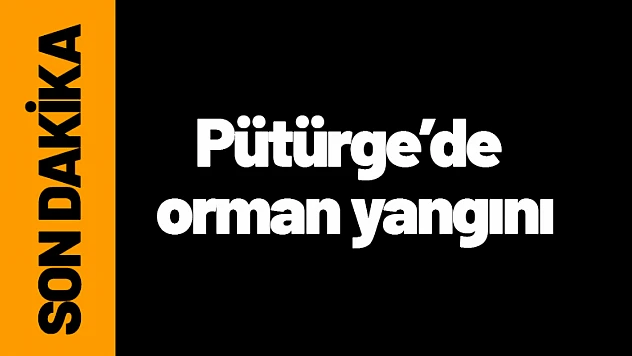 Pütürge'de orman yangını