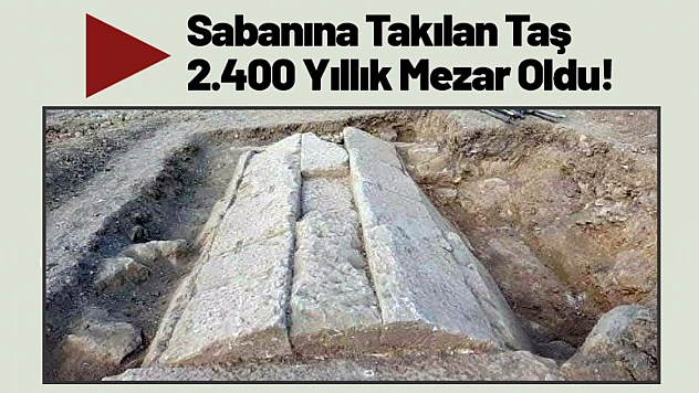Sabanına Takılan Taş 2.400 Yıllık Mezar Oldu!