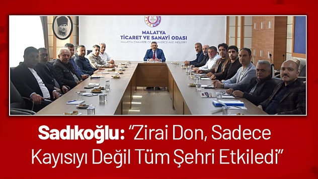 Sadıkoğlu: 'Zirai Don, Sadece Kayısıyı Değil Tüm Şehri Etkiledi'