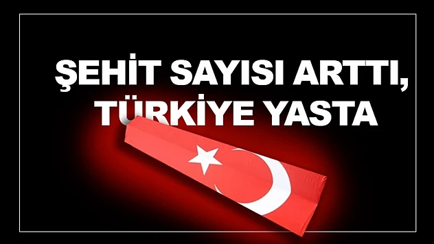 Şehit Sayısı Arttı, Türkiye Yasta