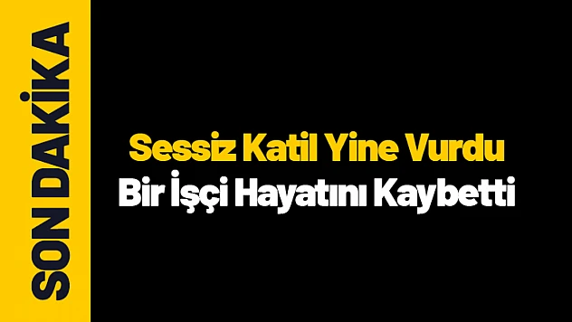 Sessiz Katil Yine Vurdu: Bir İşçi Hayatını Kaybetti