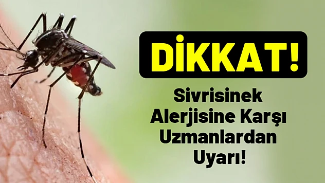 Sivrisinek Alerjisine Karşı Uzmanlardan Uyarı!