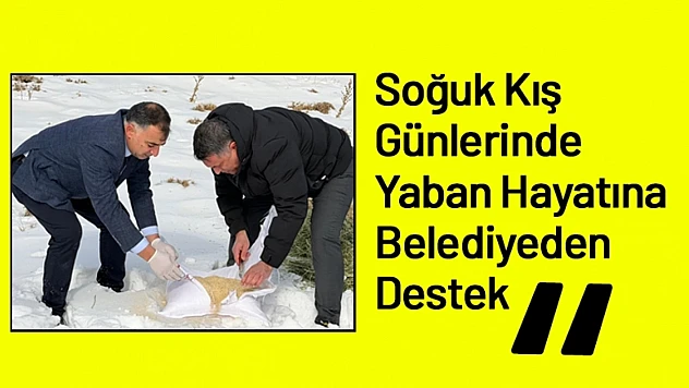 Soğuk Kış Günlerinde Yaban Hayatına Belediyeden Destek