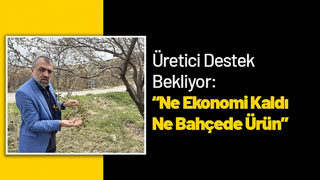 Üretici Destek Bekliyor: 'Ne Ekonomi Kaldı Ne Bahçede Ürün'
