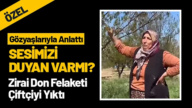 Zirai Don Felaketi Çiftçiyi Yıktı: Sesimizi Duyan Varmı?
