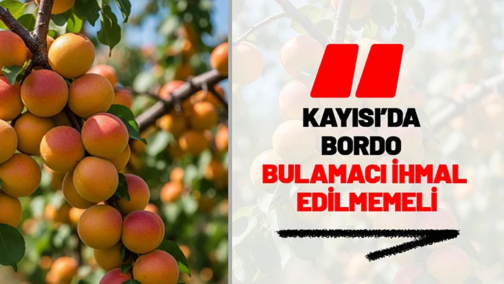 Kayısı Bahçelerinde Bordo Bulamacı İhmal Edilmemeli