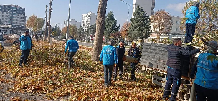 Adıyaman'da Yüksek Budama Çalışmaları Başladı