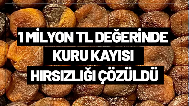 1 Milyon TL Değerinde Kuru Kayısı Hırsızlığı Çözüldü
