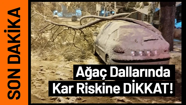 Ağaç Dallarında Kar Riskine DİKKAT!